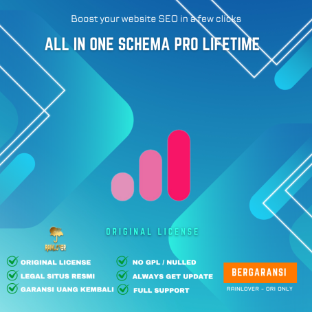 All In One Schema Pro Lifetime $199